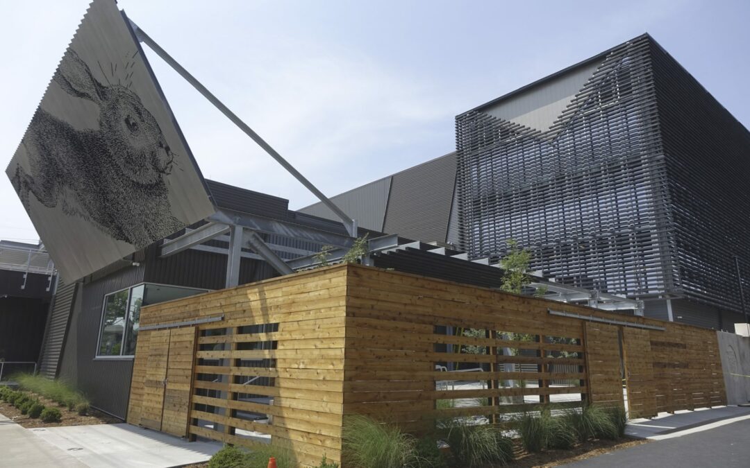 Pernod Ricard Buys Interest in One of Our Distillery Designs