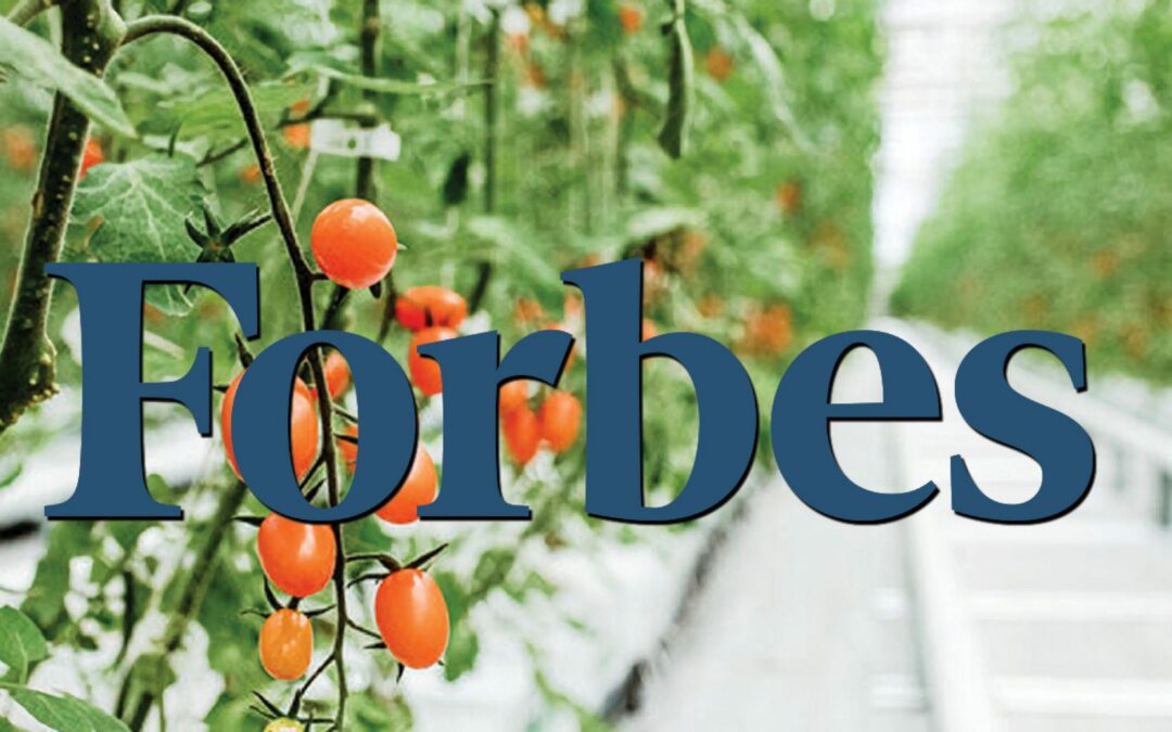 VITOK Greenhouse Design Engineering Project Gets Nod From Forbes