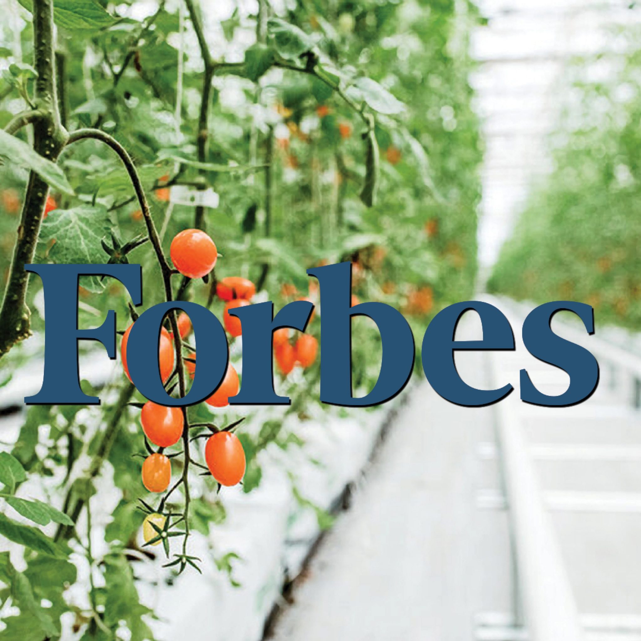 KY Fresh Harvest Featured R1 VITOK Project in Forbes