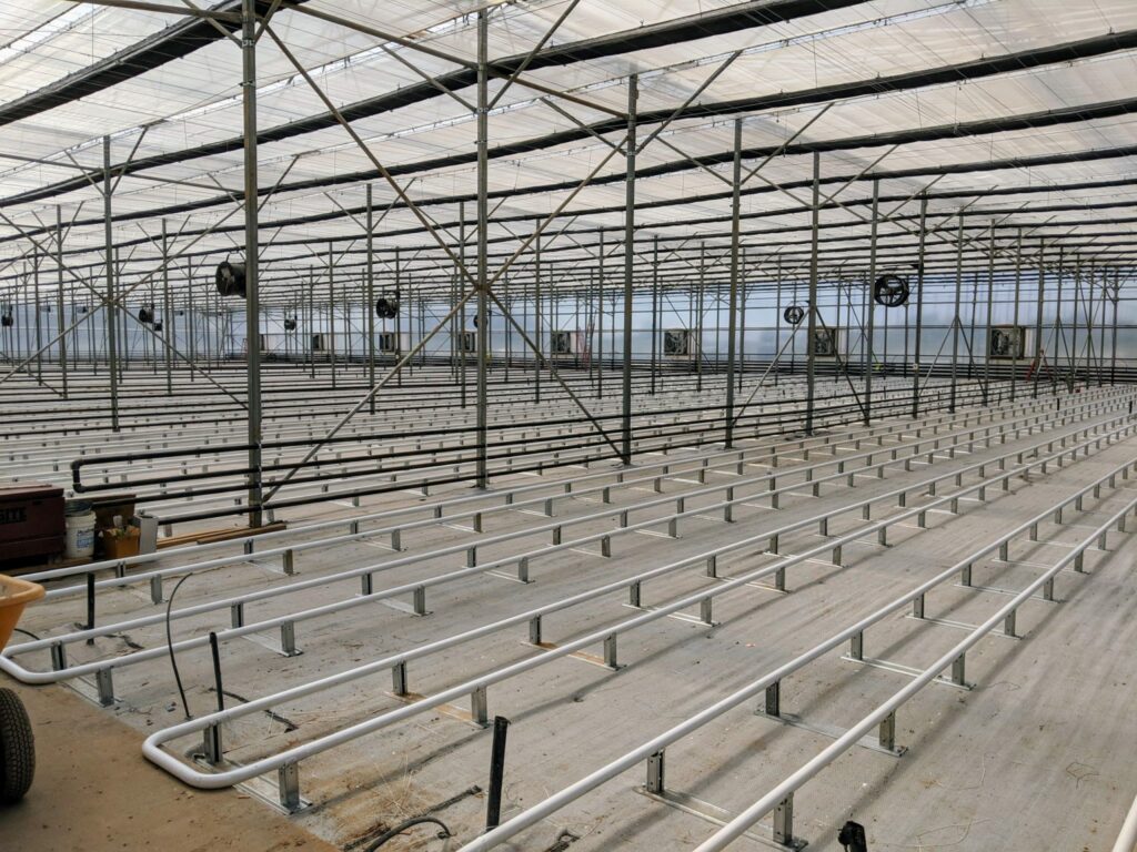Greenhouse