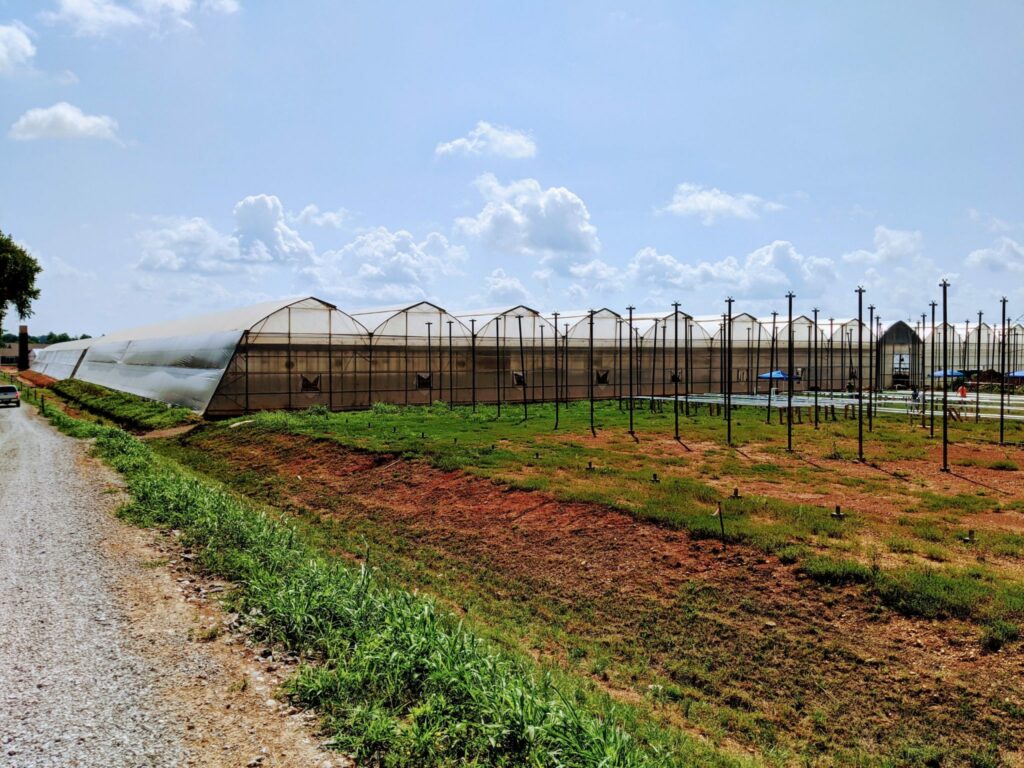 VITOK Engineers - KY Fresh Harvest